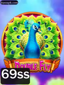 Descubra o Mundo de DoubleFly: Uma Experiência de Jogo Única